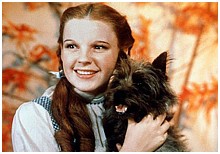 Look Toto! We're not stuck in Kansas anymore!
